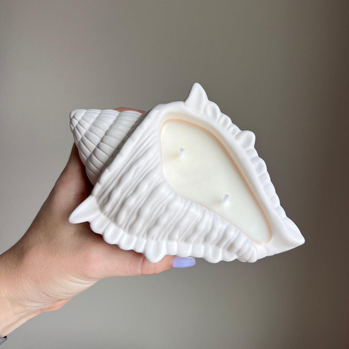 Conch Shell Soy Wax Candle | Jesmonite Container, Handmade-2