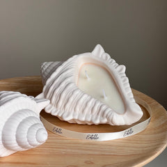 Conch Shell Soy Wax Candle | Jesmonite Container, Handmade-3