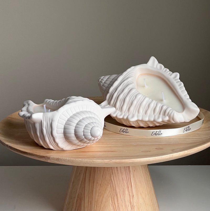 Conch Shell Soy Wax Candle | Jesmonite Container, Handmade-4