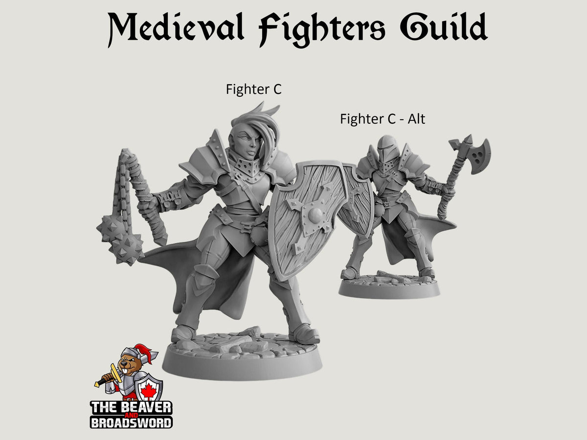 Fighter's Guild dnd mini set - Artisan Guild | Barbarian | Knight | Cleric | Paladin, Pathfinder, TTRPG, Wargaming, Warrior, Human, medieval-5