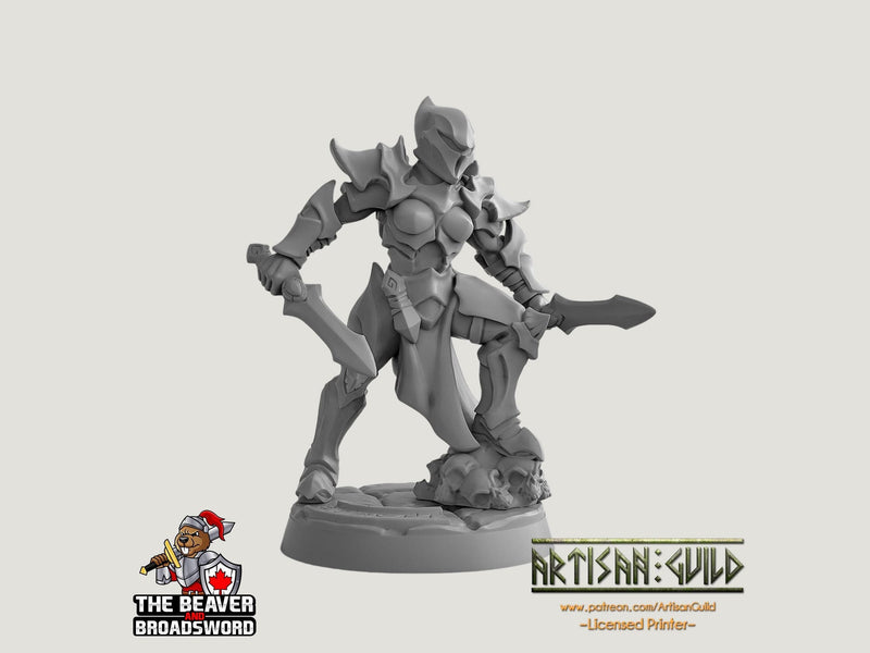 Ashen Alfar Inquisitor C - Dungeons and Dragons | Female | Fighter | Paldin Cleric | Elf Drow DnD 5e Fantasy  Pathfinder 2e 5e Tabletop Mini-2