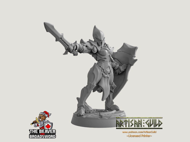 Ashen Alfar Inquisitor D - Dungeons and Dragons | Female | Fighter | Paldin Cleric | Elf Drow DnD 5e Fantasy  Pathfinder 2e 5e Tabletop Mini-2