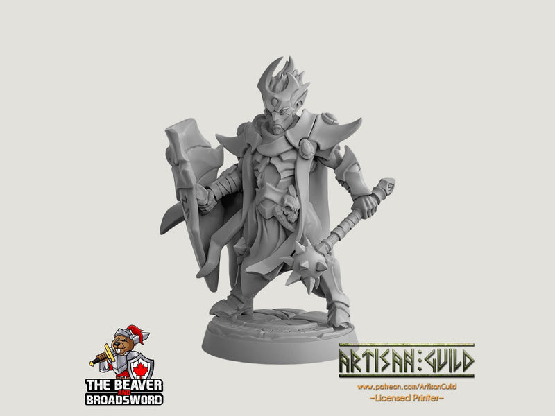 Ashen Alfar Inquisitor E - Dungeons and Dragons | Male | Fighter | Paldin Cleric | Elf Drow DnD 5e Fantasy  Pathfinder 2e 5e Tabletop Mini-1