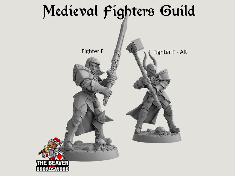 Fighter's Guild dnd mini set - Artisan Guild | Barbarian | Knight | Cleric | Paladin, Pathfinder, TTRPG, Wargaming, Warrior, Human, medieval-8