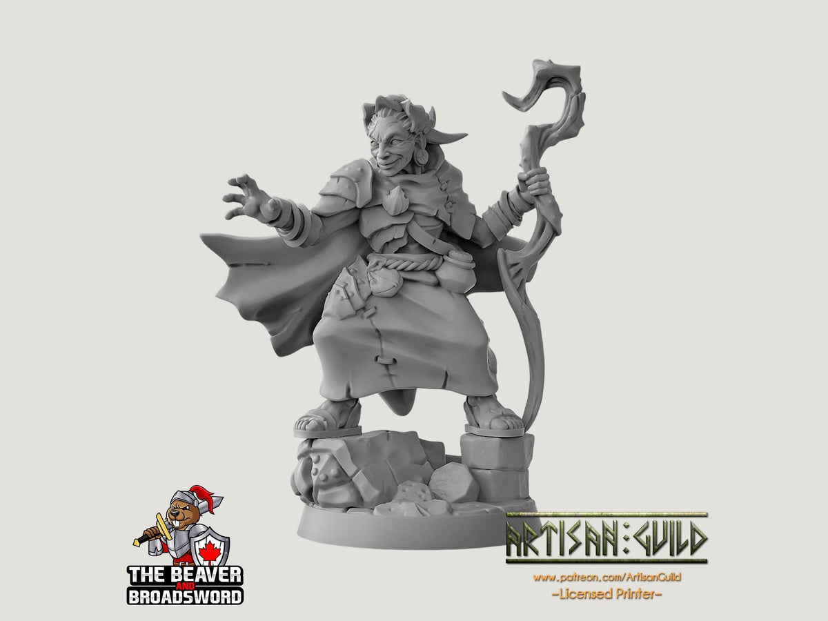 Nanaari the Wise Woman dnd mini - Dungeons and Dragons | Female | Witch | Druid | Human 5e Fantasy  Pathfinder 2e 5e Tabletop Mini RPG