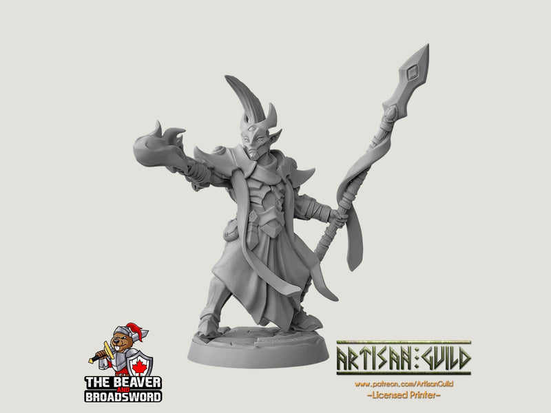 Ashen Alfar Inquisitor F - Dungeons and Dragons | Male | Fighter | Paldin Cleric | Elf Drow DnD 5e Fantasy  Pathfinder 2e 5e Tabletop Mini-1