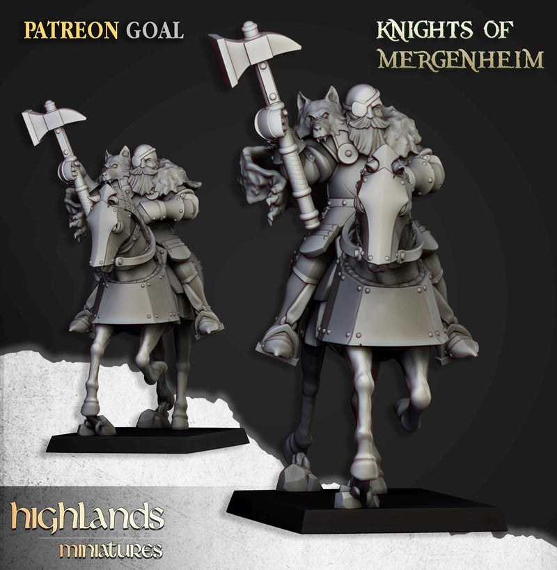 Knights of Mergenheim Miniature Set - 28/32mm Scale Premium Resin Models for Wargaming and RPG, DnD, Human, Sunland, Durable, High Quality-7