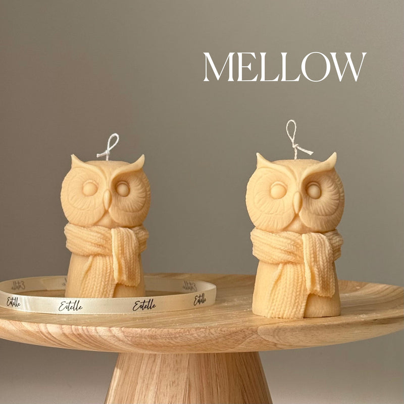 Handmade Owl Soy Candle: Sculptural Art Gift-4