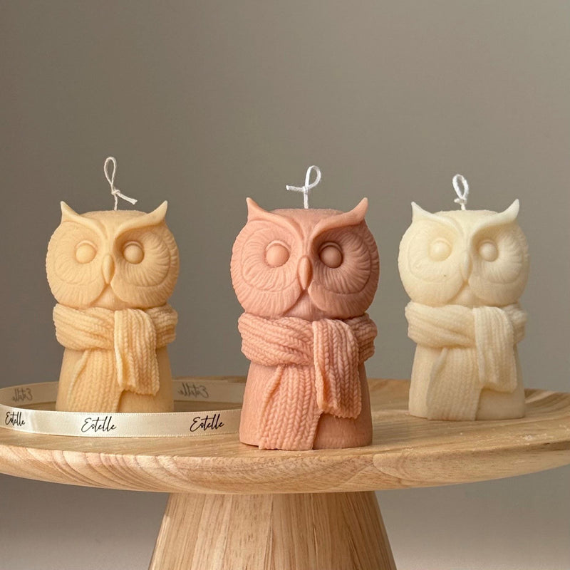 Handmade Owl Soy Candle: Sculptural Art Gift-1