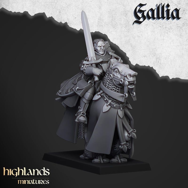 Questing Knights Miniature Set - 28/32mm Scale Premium Resin Models for Wargaming and RPG, DnD, Human, Gallia, Durable, High Quality-7