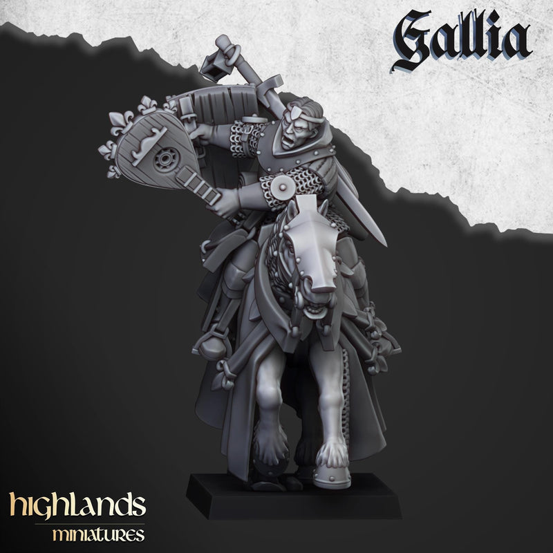 Questing Knights Miniature Set - 28/32mm Scale Premium Resin Models for Wargaming and RPG, DnD, Human, Gallia, Durable, High Quality-6