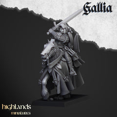 Questing Knights Miniature Set - 28/32mm Scale Premium Resin Models for Wargaming and RPG, DnD, Human, Gallia, Durable, High Quality-3