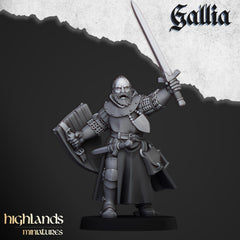 Hero Questing Knight resin Mini - 28/32mm Scale Premium Resin Models for Wargaming and ttRPG, DnD, Human, Gallia, Durable, High Quality-1