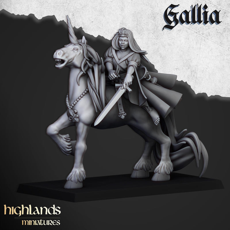 Lady of Gallia mini - 28/32mm Scale Premium Resin Models for Wargaming and ttRPG, DnD, Human, Gallia, Durable, High Quality, Sorceress-1