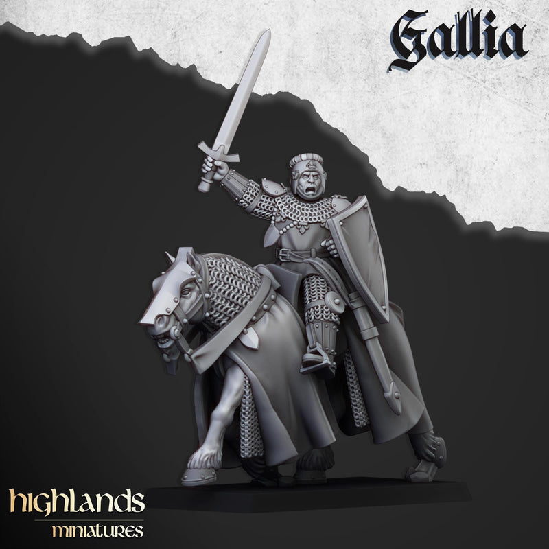 Young Knights of Gallia mini set - 28/32mm Scale Premium Resin Models for Wargaming and RPG, DnD, Human, Gallia Durable High Quality Cavalry-10