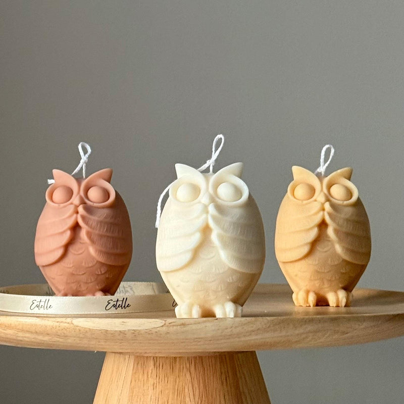 Handmade Owl Soy Candle: Sculptural Home Decor, New Home Gift-1