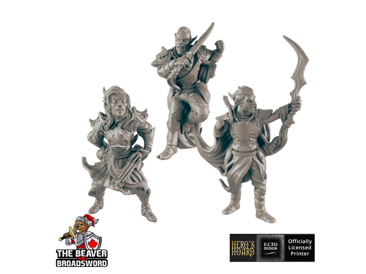 Dark Elf Set | DnD Miniature, Premium Resin, Durable and Tough for your TTRPG and Wargaming! 32mm, 28mm, Male, Drow, Fighter, Rogue-1