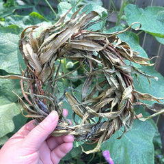 Willow Wreaths-1