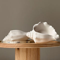 Conch Shell Jesmonite Trinket Tray: Coastal Jewelry Storage Dish-1