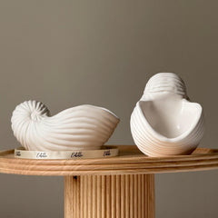 Sea Shell Jesmonite Trinket Tray: Coastal Jewelry Dish-1