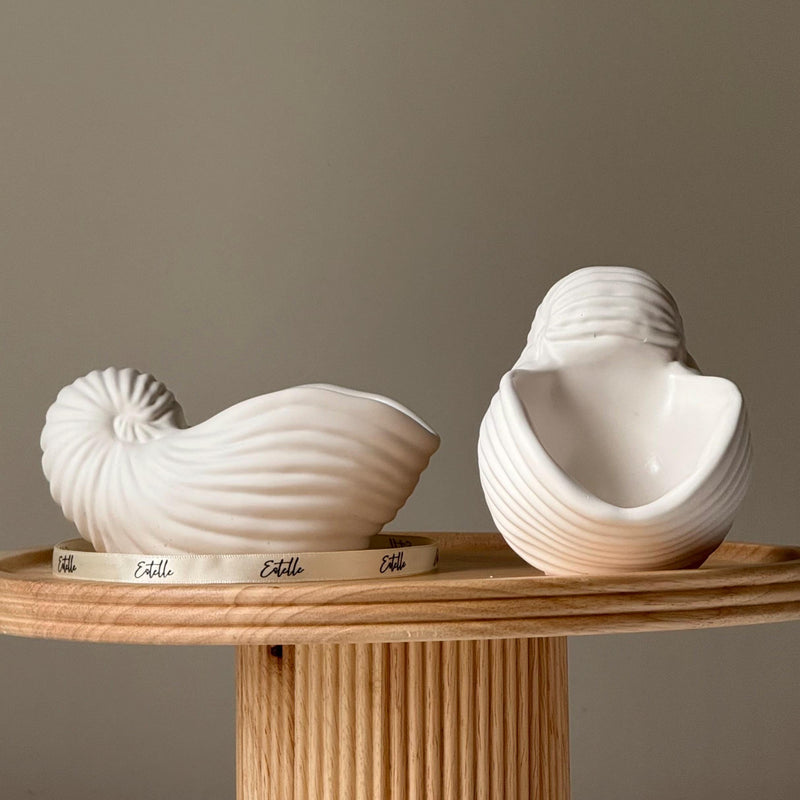 Sea Shell Jesmonite Trinket Tray: Coastal Jewelry Dish-1