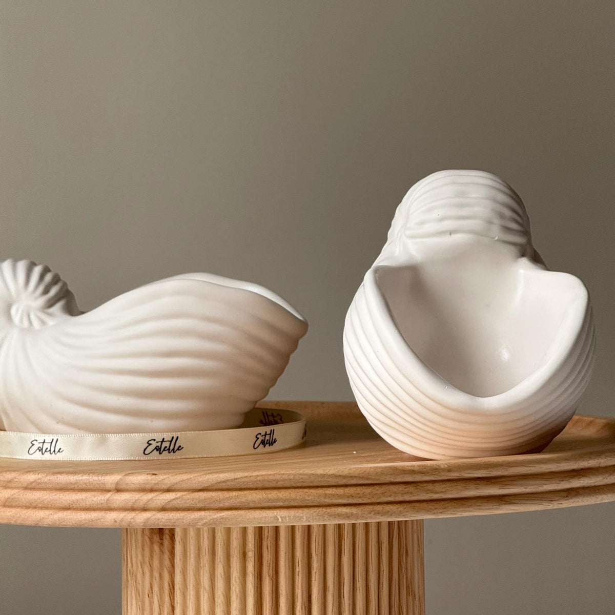 Sea Shell Jesmonite Trinket Tray: Coastal Jewelry Dish-2