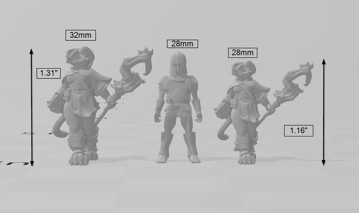 Catfolk Wizards | DnD Miniature, Premium Resin, Durable and Tough for your TTRPG and Wargaming! 32mm, 28mm, Tabaxi, Sorcerer, Warlock-2