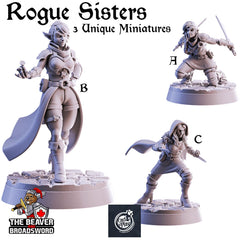 Rogue Sisters mini set | DnD Miniature, Premium Resin, Durable and Tough for your TTRPG and Wargaming! 32mm, 28mm, Thief, Assassin-1
