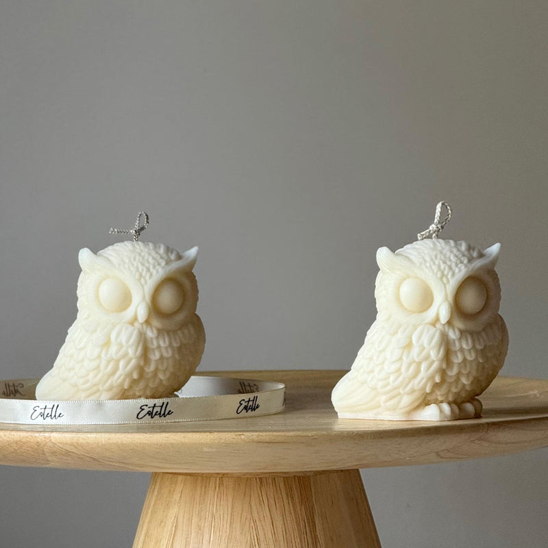 Owl Soy Candle: Handmade Sculptural Home Decor-3