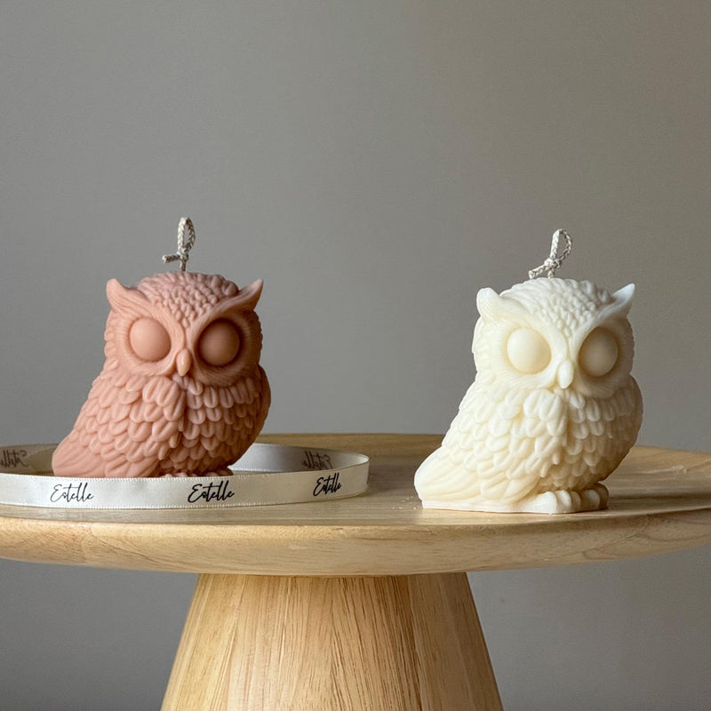 Owl Soy Candle: Handmade Sculptural Home Decor-1