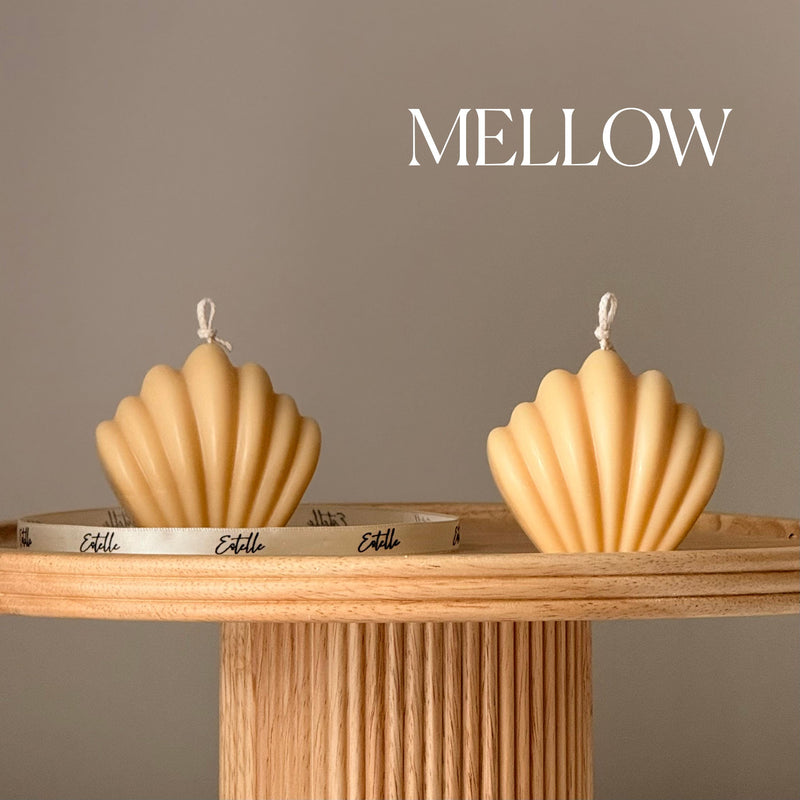 Scallop Shell Candle: Summer Home Decor, Vegan Soy Wax-4