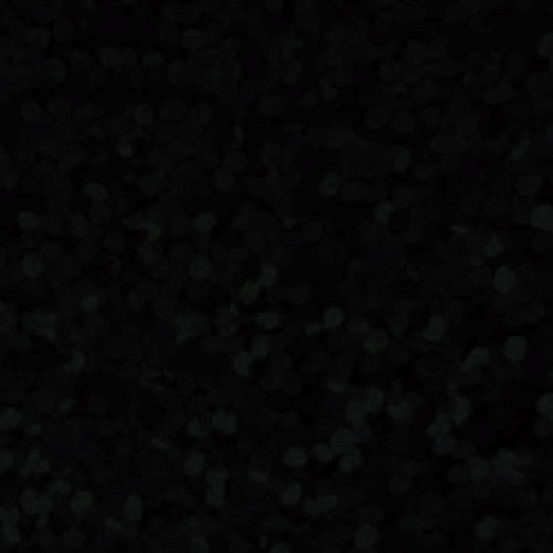 Craft Holographic HTV Black-1