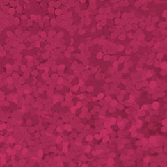 Craft Holographic HTV Puschia-1