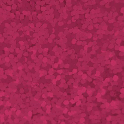 Craft Holographic HTV Puschia-1