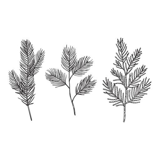 Evergreen Branches Press Plate from the BetterPress Christmas Collection-3