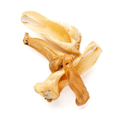 Lamb Ear-3