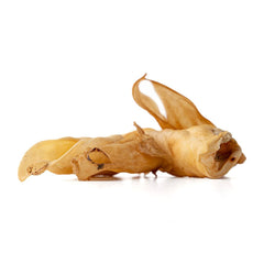 Lamb Ear-2