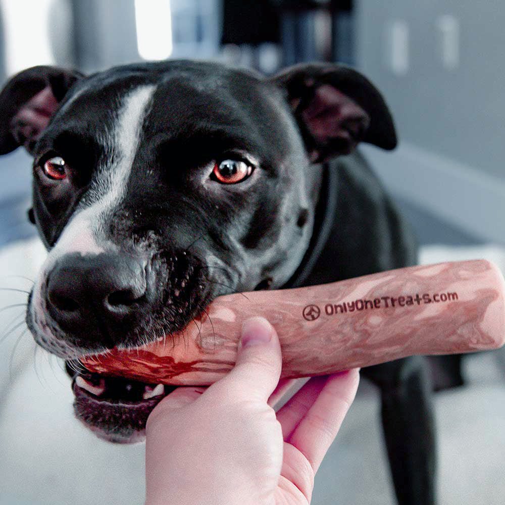 Large Coffee Wood Chew-3