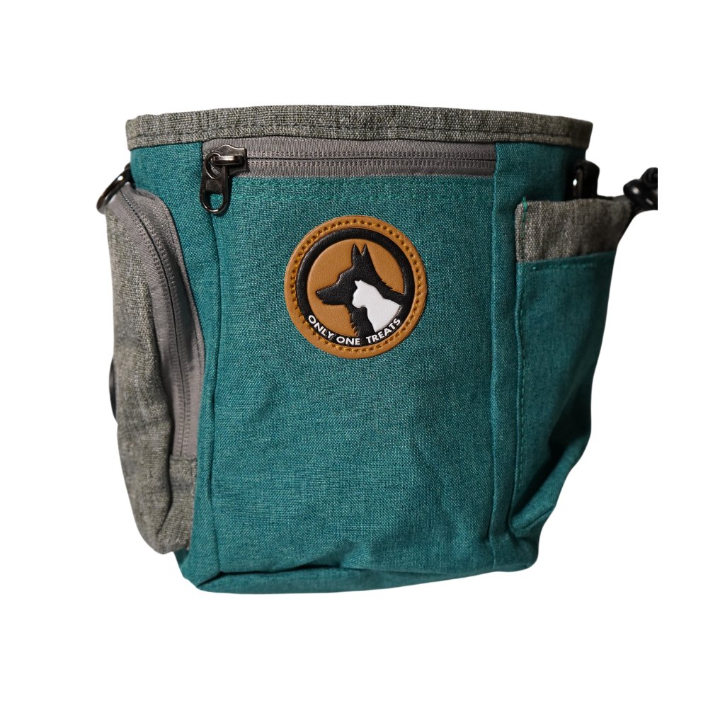 Large Treat Pouch - Teal-1