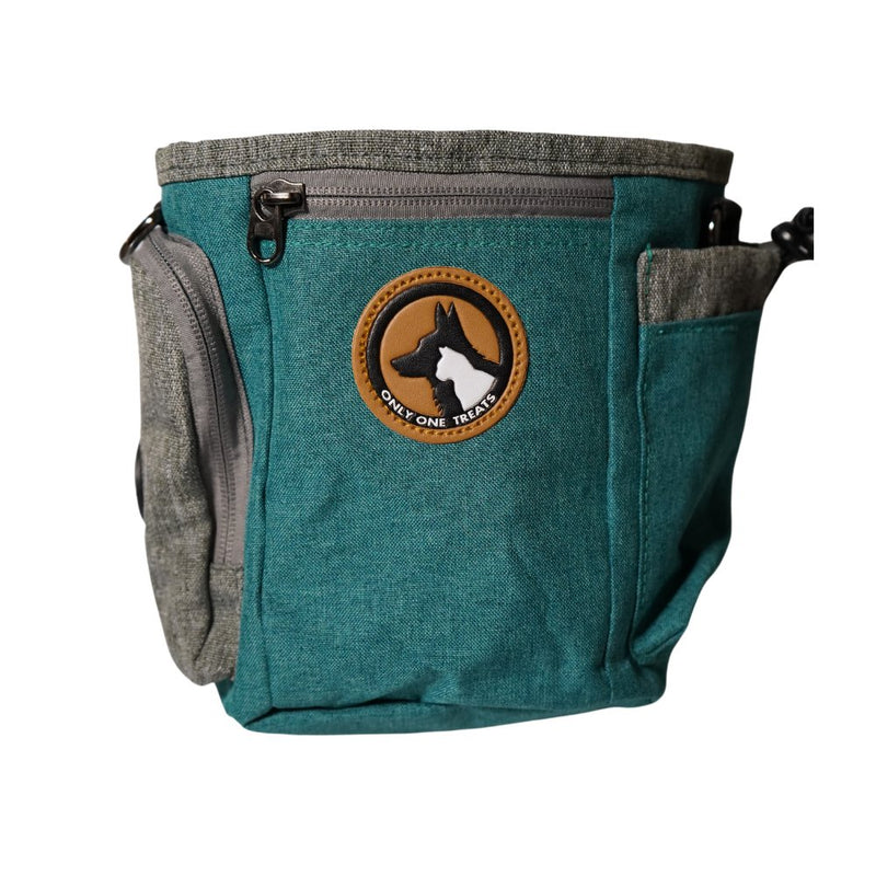 Large Treat Pouch - Teal-1