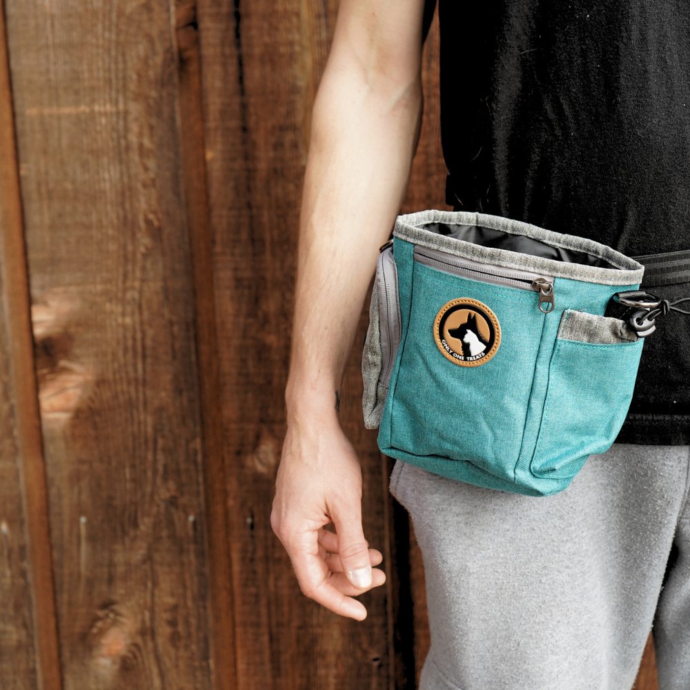 Large Treat Pouch - Teal-4