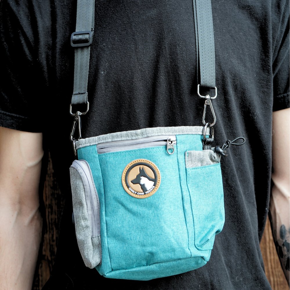 Large Treat Pouch - Teal-5