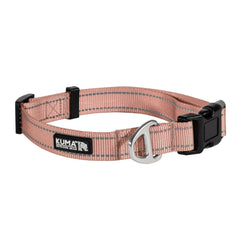 Lazy Bear Dog Collar-6