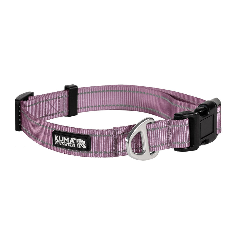 Lazy Bear Dog Collar-7