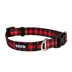 Lazy Bear Dog Collar-1