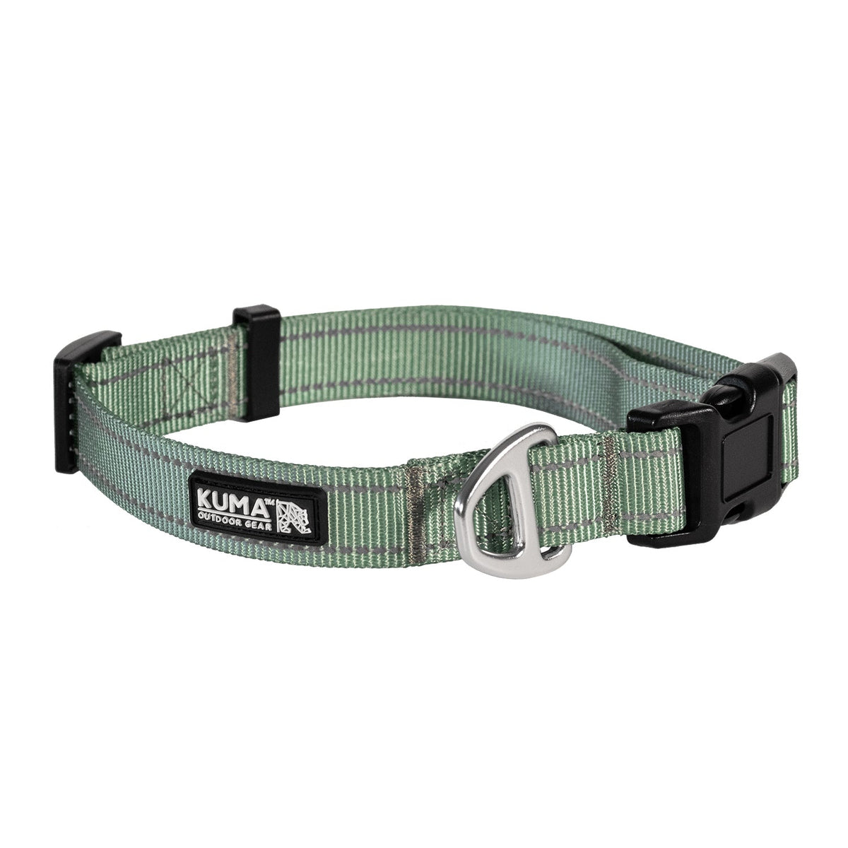 Lazy Bear Dog Collar-4