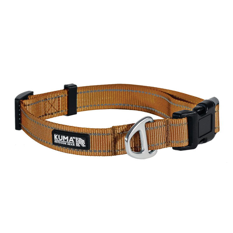 Lazy Bear Dog Collar-5