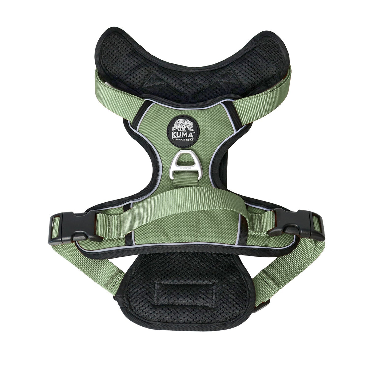 Lazy Bear Dog Harness-7