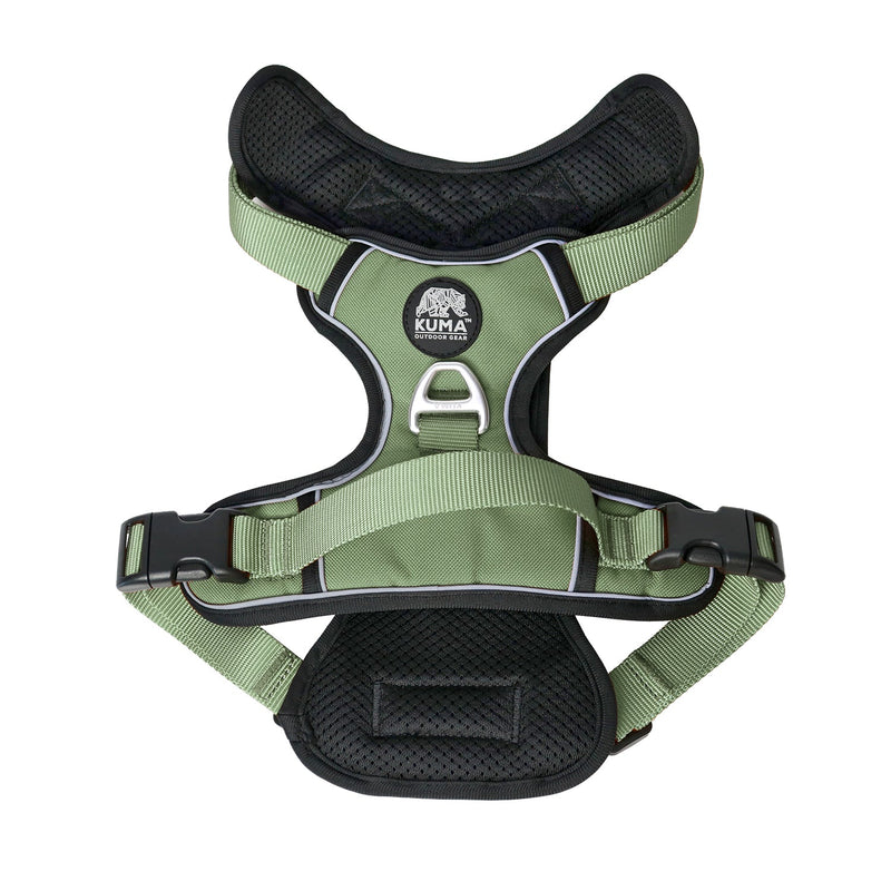 Lazy Bear Dog Harness-7
