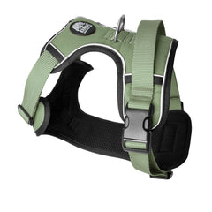Lazy Bear Dog Harness-3